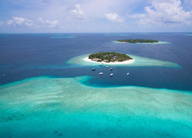 Malahini Kuda Bandos